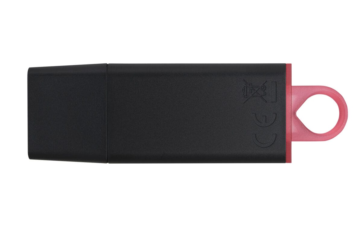 PEN DRIVE 256GB KINGSTON 3.1 DTX - Imagen 2