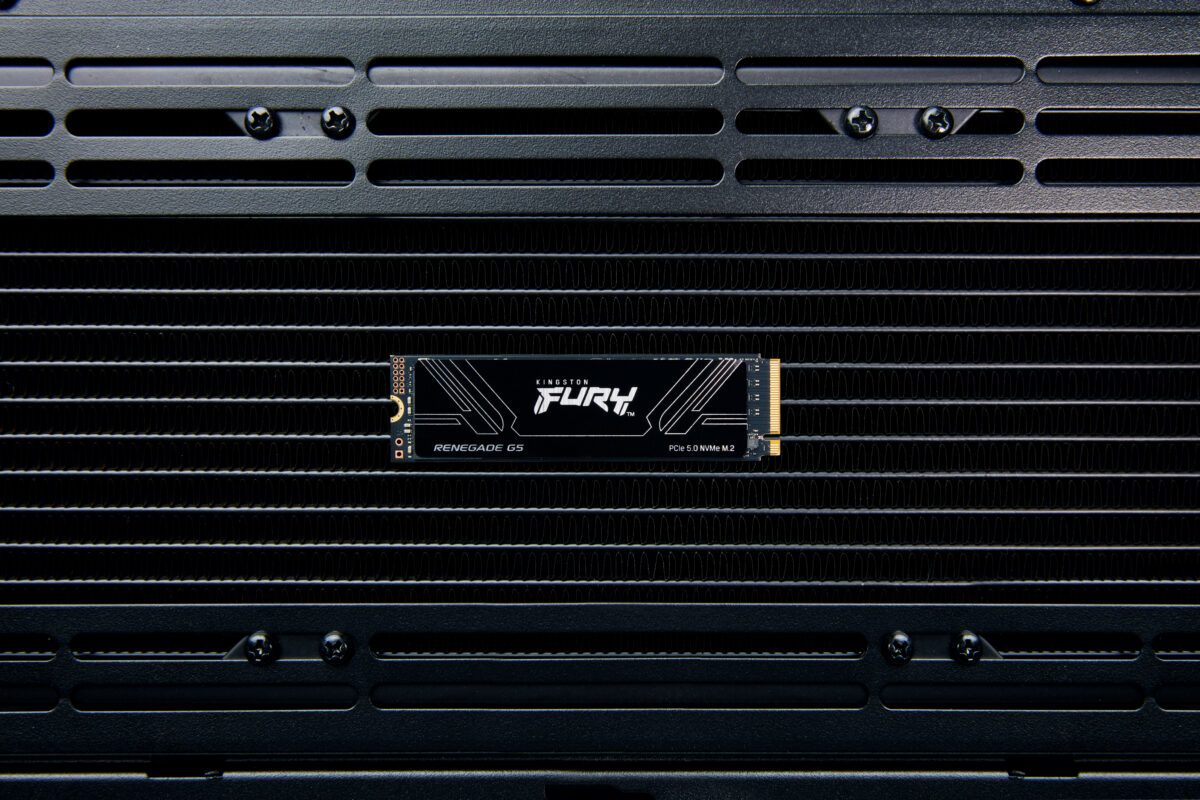 SSD M.2 NVME 1TB G5 KINGSTON FURY RENEGADE - Imagen 7