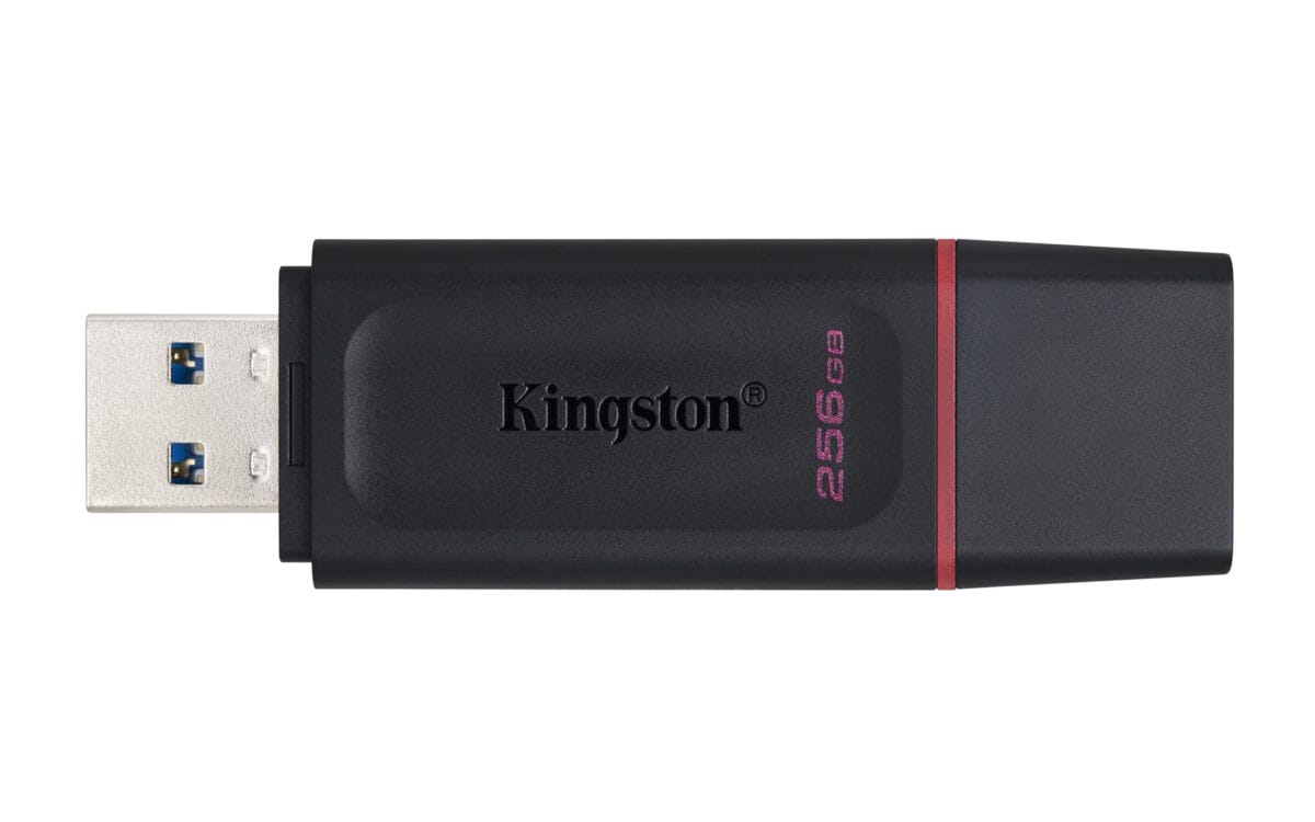 PEN DRIVE 256GB KINGSTON 3.1 DTX - Imagen 3