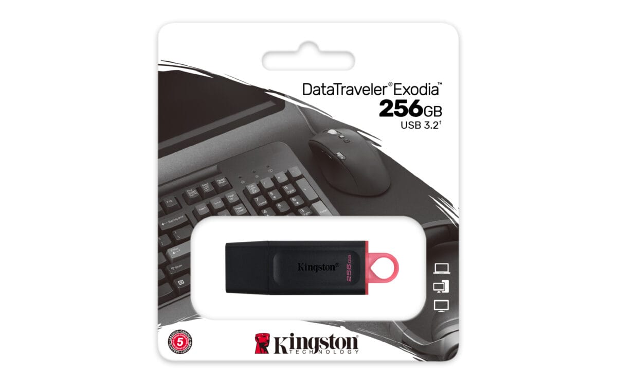 PEN DRIVE 256GB KINGSTON 3.1 DTX - Imagen 6