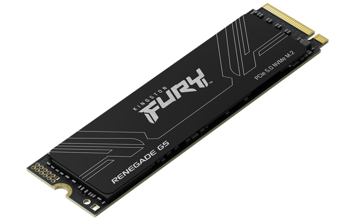 SSD M.2 NVME 1TB G5 KINGSTON FURY RENEGADE - Imagen 3