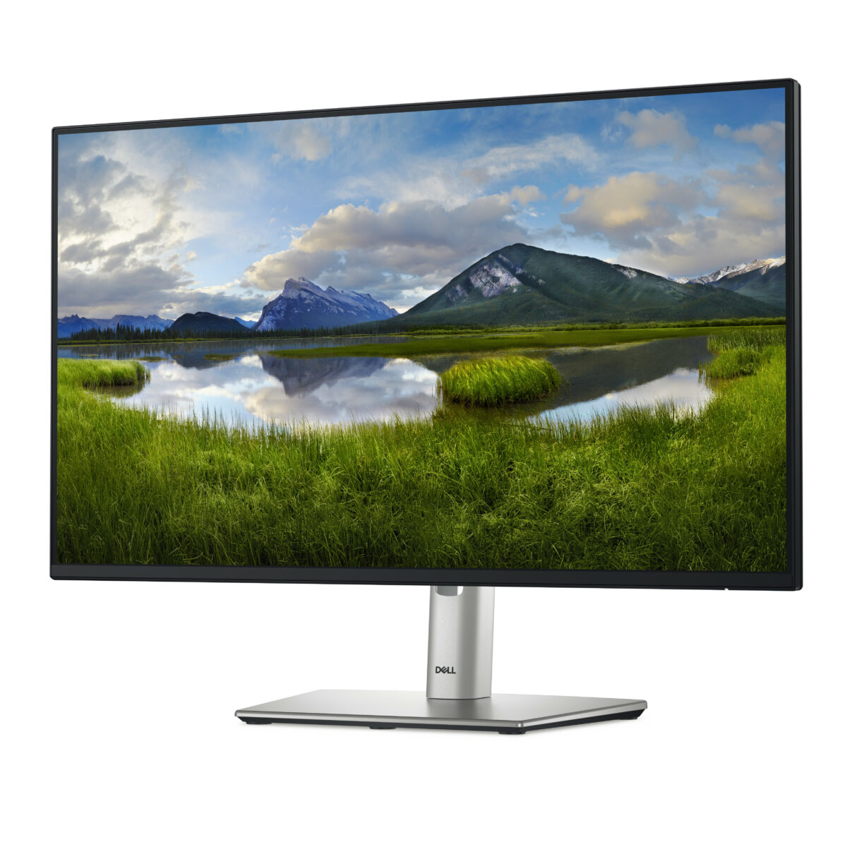 MONITOR 24 DELL P2425H VGA + HDMI + DPORT - Imagen 2