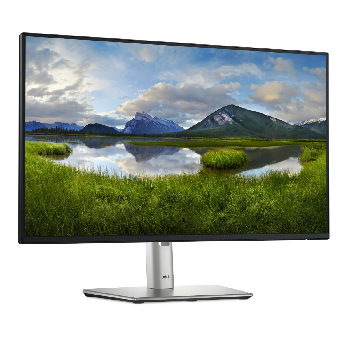 MONITOR 24 DELL P2425H VGA + HDMI + DPORT - Imagen 3